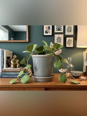 Grey Crackle Glaze Ceramic Planter with Saucer, Beaded Rim Flower Pot